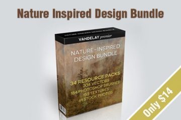 Premium Flyer Resources for Only $14