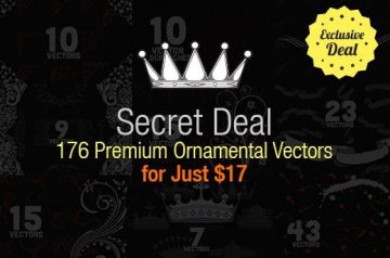 Premium Ornamental Vectors for Just $17