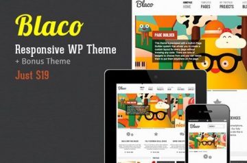 Responsive WP Theme + Bonus Theme – Just $19