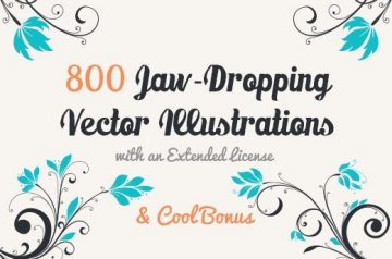 Cool Vector Illustrations & Cool Bonus