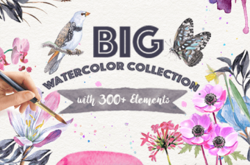 Big Watercolor Collection with 300+ Elements - Only $29