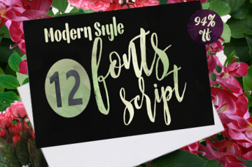 Modern Style Script Fonts Bundle