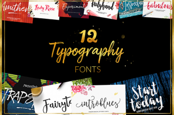 12 Typography Fonts - Only $19