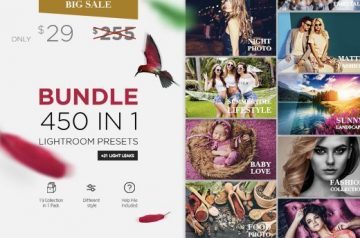 450 in 1 Lightroom Presets - Only $29