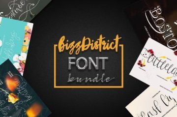 BizzDistrict Fonts - Only $19