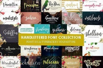 Hand Lettered Font Collection - <del> Only $39 </del> $19