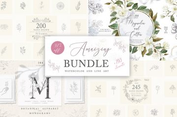 Amazing Watercolor Elements And Line Art Bundle