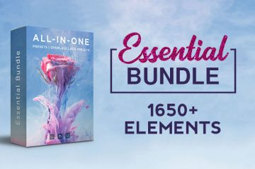 Essential-bundle-banner