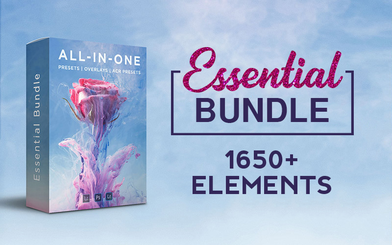 Essential-bundle-banner