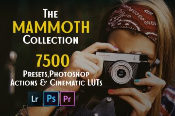 Mammoth collection