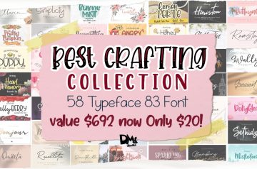 Fonts Bundle