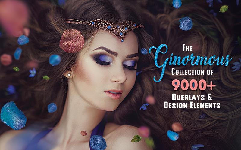 The ginormous collection
